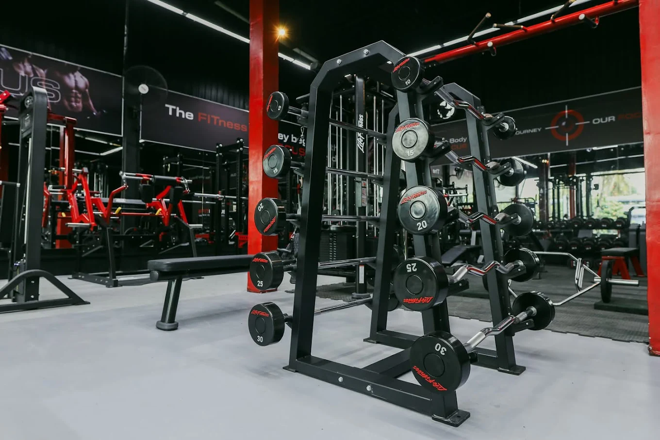 Free Weights